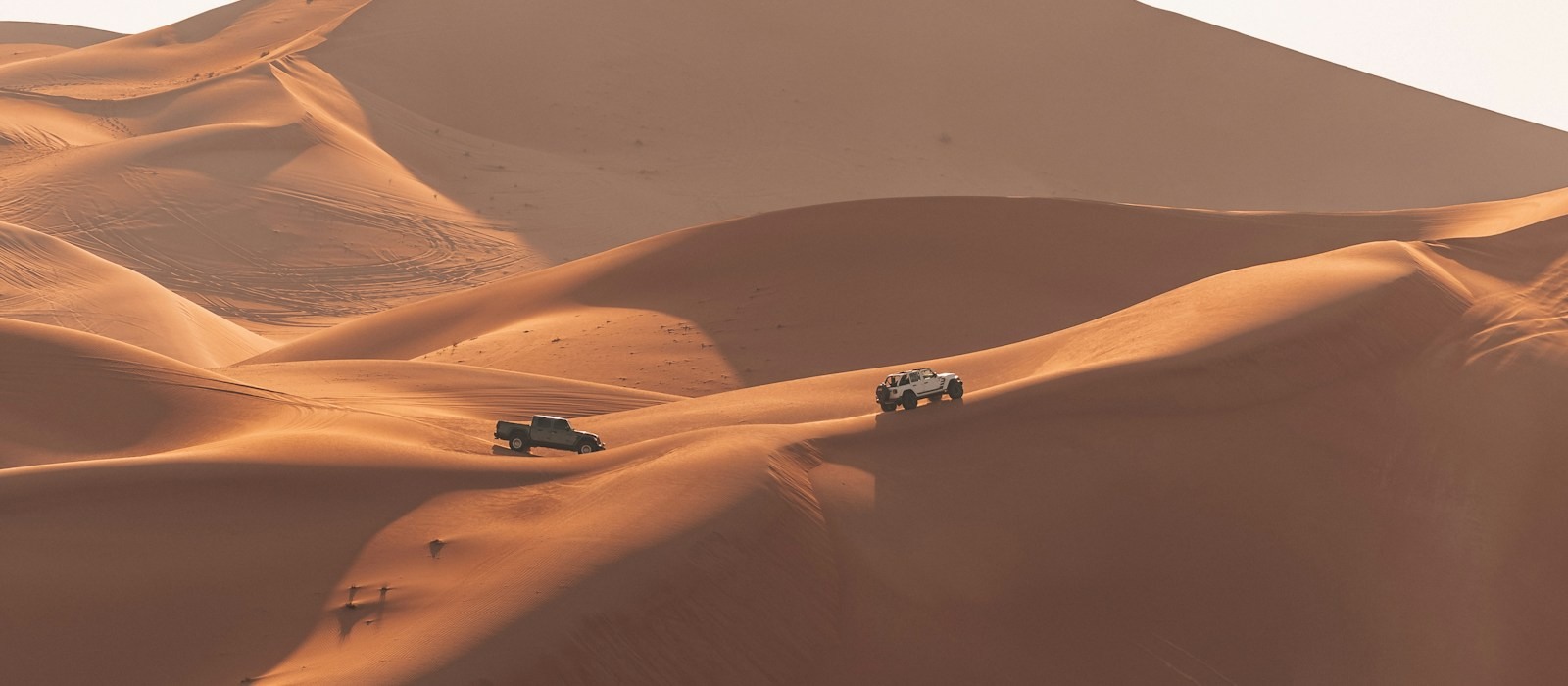 Desert safari and dune environment in the UAE